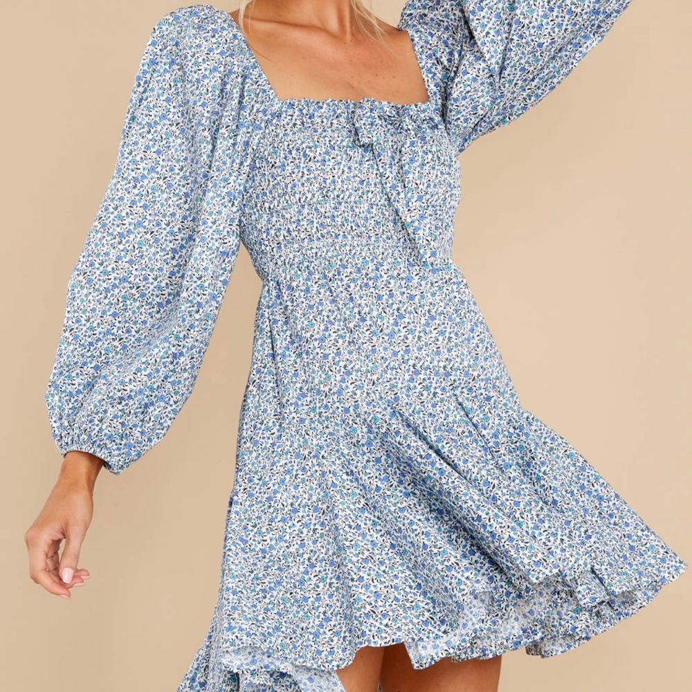 Red Dress Boutique blue floral print dress, size small
